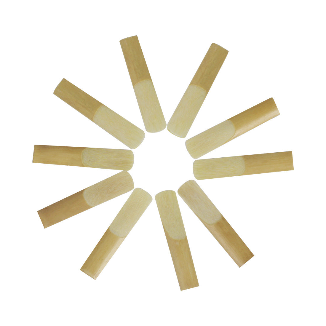 Eb Saxophone Reeds & Bb Clarinet Reeds 10-Pack – Medium Strength Reed with Protective Case (Size 2/3, Natural Reed)