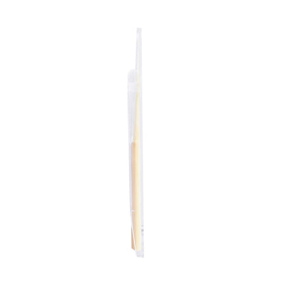 2.5 Strength E♭ Saxophone Reeds - 10-Pack with Reed Case - Premium Clarinet Reeds